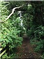 Bridleway near Wilden