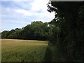 Footpath near Wilden