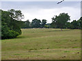 Pasture west of Chamber Lane