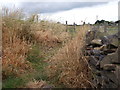 Footpath - Jackroyd Lane