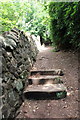 SJ5176 : Remains of sandstone steps, North Cheshire Way by Jeff Buck