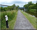 SJ8843 : Trent & Mersey Canal Milepost along the towpath by Mat Fascione