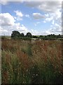 Footpath towards the Brampton Valley Way