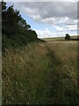 Footpath towards the Brampton Valley Way