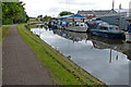 Dolphin Boatyard on the Trent & Mersey Canal