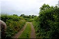 Farm Track heading for Lower Dunsfoth Lodge