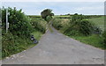 Bridleway and access road to Bryn-y-M?r Farm near Kidwelly