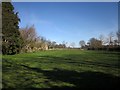 Field, Little Ribston