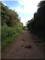 View along the old railway track