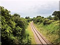 Railway at Farington Moss (South)