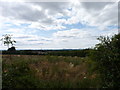 Land at top of Yew Tree Hill