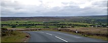 NZ8401 : Towards the valley from Goathland Moor by David Smith