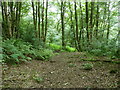 Signpost in Brearley Wood