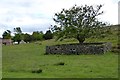 The Jubilee Tree and Pinfold, Goathland