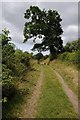 Track and footpath