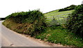 Oblique gate to a field near Kidwelly