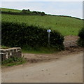 SN3807 : Wales Coast Path signs opposite Penallt Farm west of Kidwelly by Jaggery