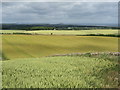 NT6575 : East Lothian fieldscape by M J Richardson