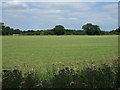 Farmland off the A134