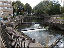 ST9386 : Weirs across the Avon, Malmesbury by Jaggery