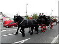C4745 : Horse-drawn carriage, Carndonagh (2) by Kenneth  Allen