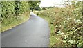 The Ballyreagh Road, Newtownards (July 2015)