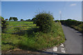 Lane towards Llanrhystud