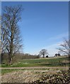 Farmland at Hunsingore