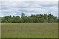 Pasture, Strathearn