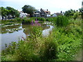 Rottingdean Pond