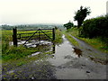 A muddy lane, Carnalea