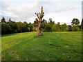 Horse Chestnut tree, Cumbernauld House Park