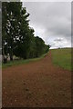 Track up the hill outside Comrie