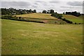 Farmland at Upper Rochford