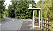 J4880 : Bus stop and shelter, Rathgael Road, Bangor (July 2015) by Albert Bridge
