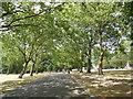 Path in Victoria Park