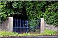 J4879 : Estate gates, Bangor by Albert Bridge