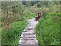 NM8464 : Board walk and bench, Ariundle by Steven Brown