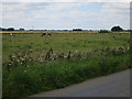 TF5408 : Horse paddocks by School Road by Hugh Venables