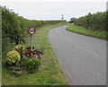 Flowery 30 sign in Freshwater East