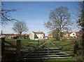 Houses at Cowthorpe