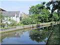 The New River north of Rowley Gardens, N4 (3)