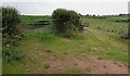 Two field gates south of Pembroke