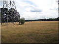 Field by Tollgate Road, Roestock