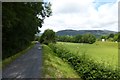 Along the Mawddach trail