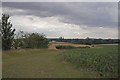 Dark Clouds Over the Path to Kiffard