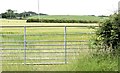 Field gate near Greyabbey (July 2015)