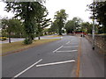 Walton Lane - viewed from Marriott Grove