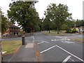 Walton Lane - viewed from Marriott Grove 