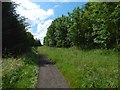 Path in Garscadden Wood